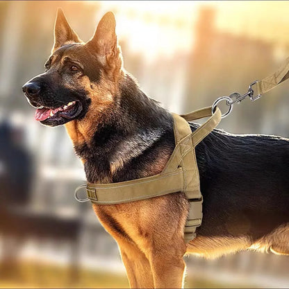 Tactical Harness Dog