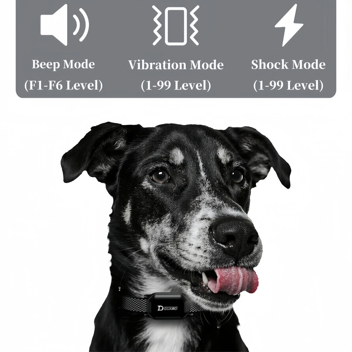 Digital Dog Training Collar