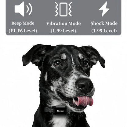 Digital Dog Training Collar