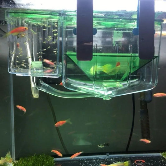 Transparent Aquarium Breeder Box