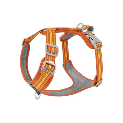Dog Harness with Dual Handle