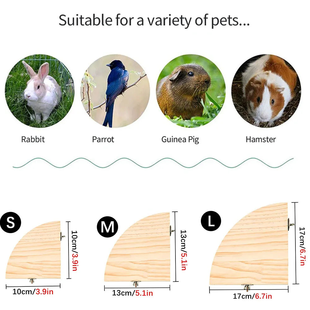 Parrot Bird Wood Perch Stand
