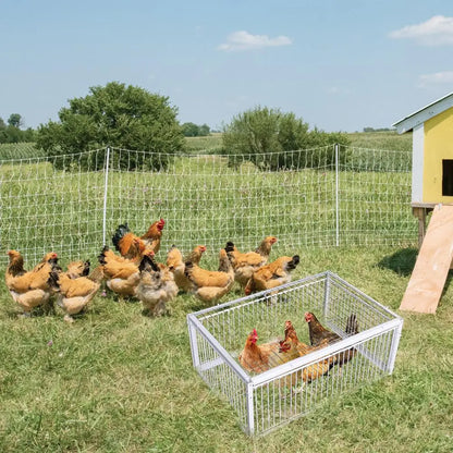 Auto Trap Bird Cage