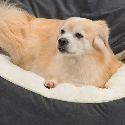 Semi-closed Dog Kennel Sleeping Pad