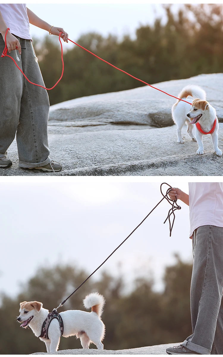 Dog Harness Leash Set