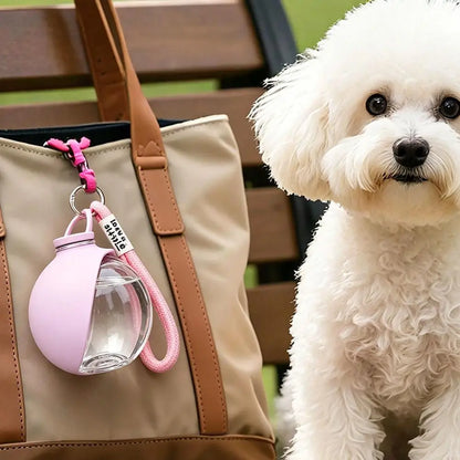 Pet Drinking Silicone Bowl