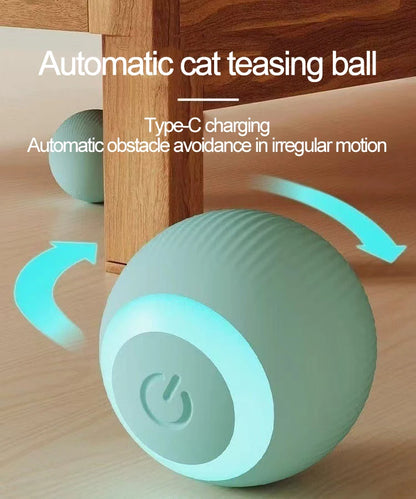 Automatic Indoor Cat Toy