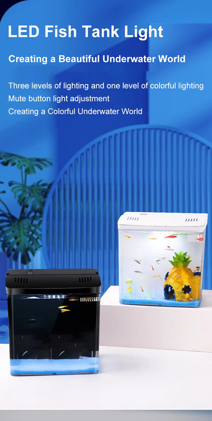 Mini Fish tank