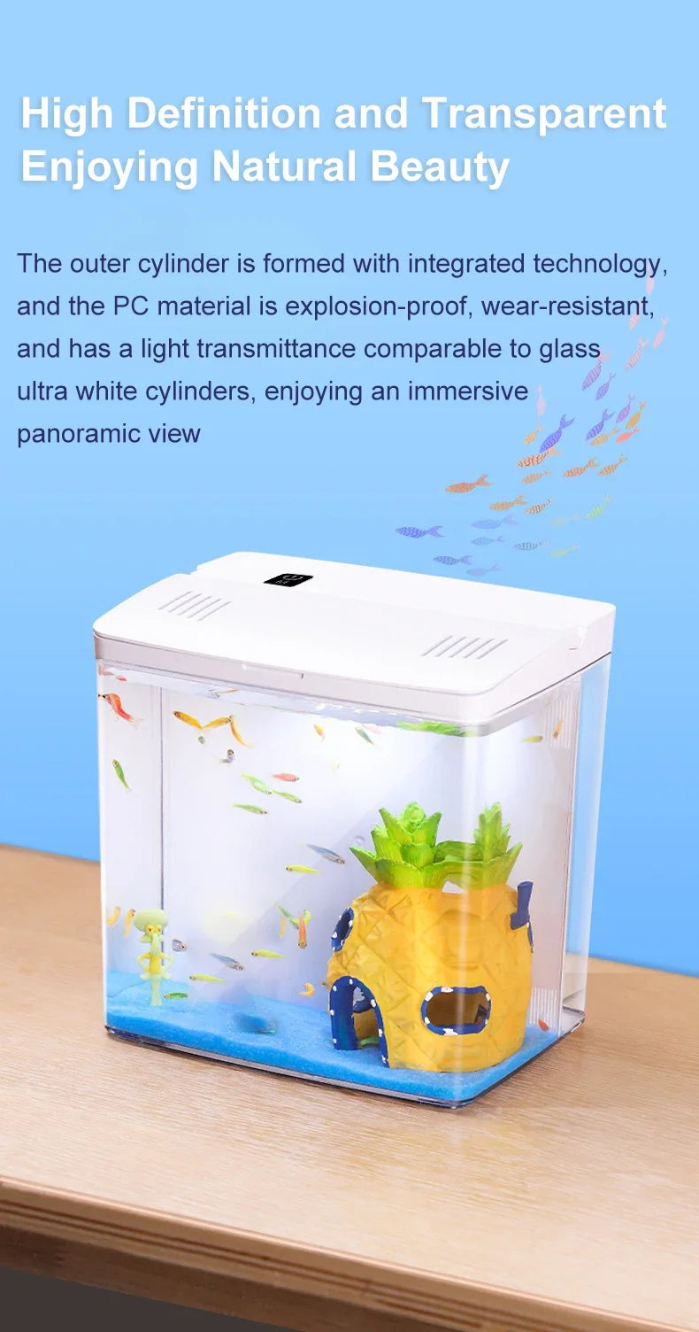 Self circulating household desktop fish tank