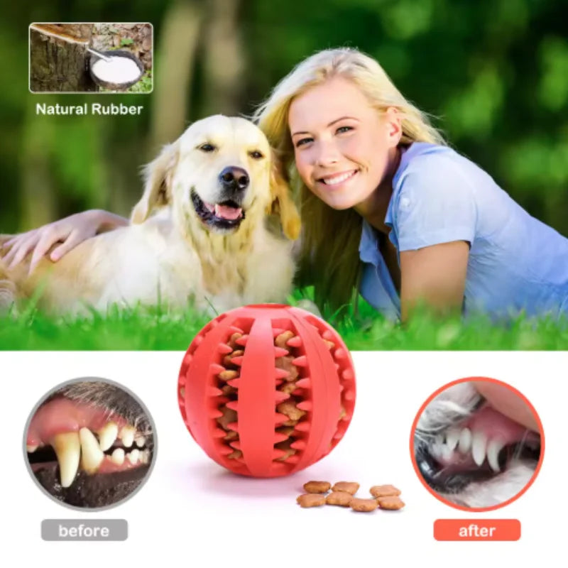 Interactive Dog Food Ball Rubber Chew Toy