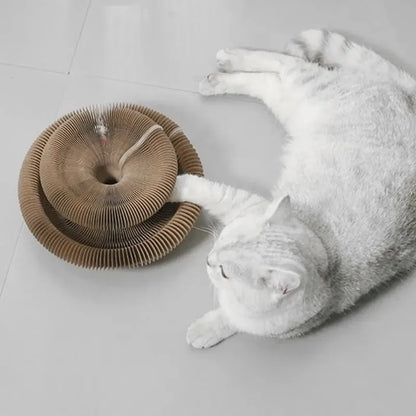Scratching Board Cat Toy