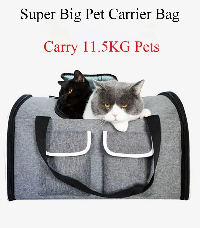 Big Space Foldable Pet Carrier Backpack