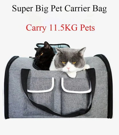 Big Space Foldable Pet Carrier Backpack