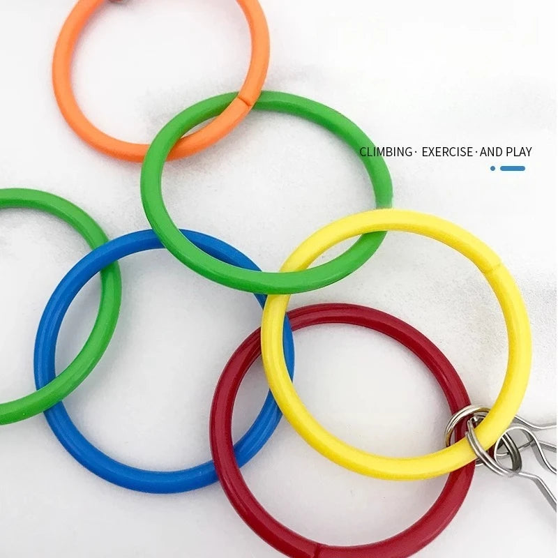 Colorful Ring Birds Use Gnawing Toy