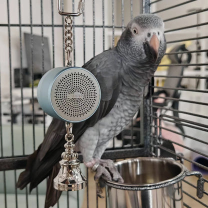 Electronic Voice Chewing Tearing  Bell
