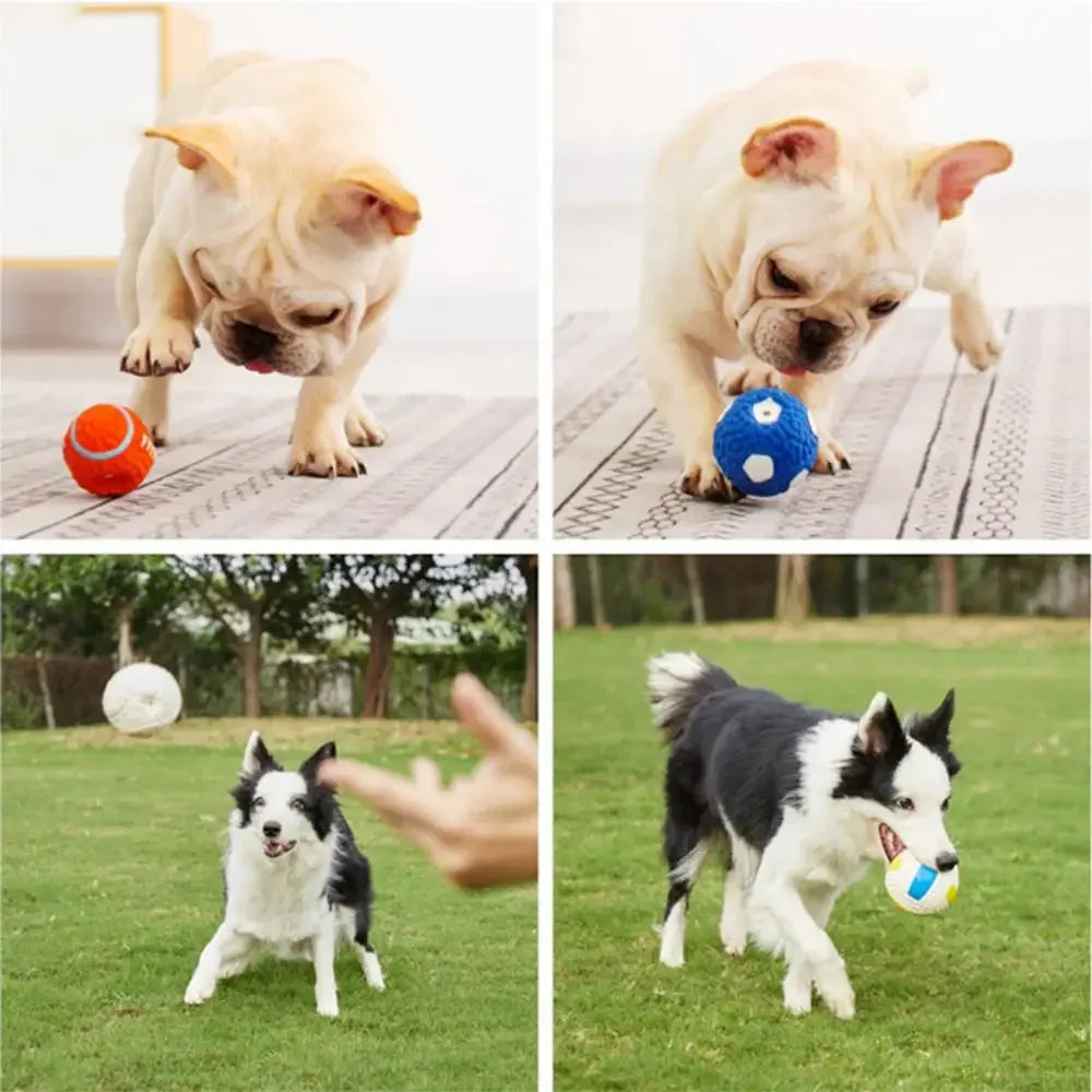 Dog Puppy Squeaky Chew Toy