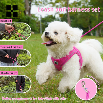 Dog Harness Leash Set