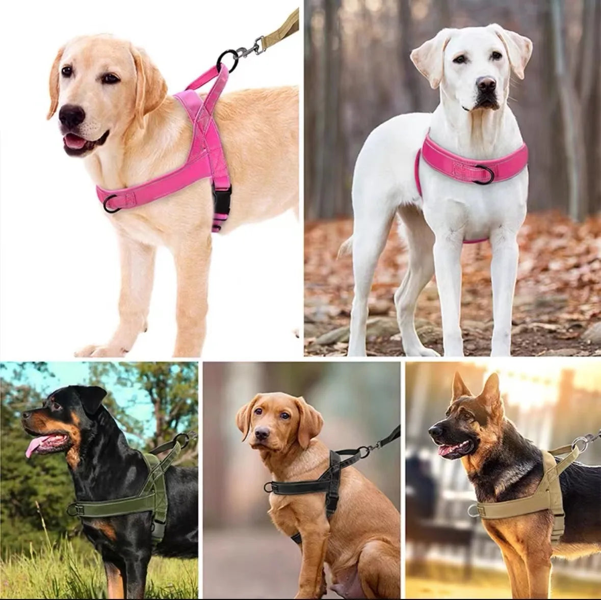 Tactical Harness Dog