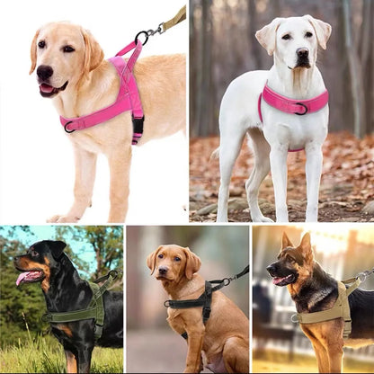 Tactical Harness Dog