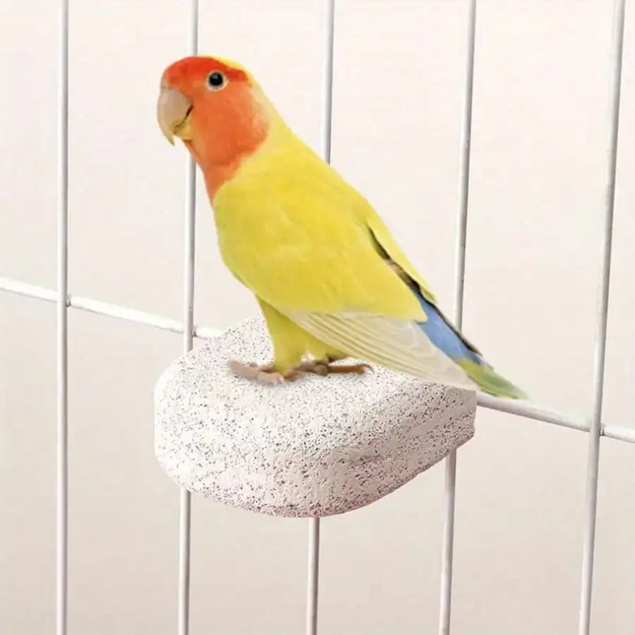 Stand Claw Grinding Perch