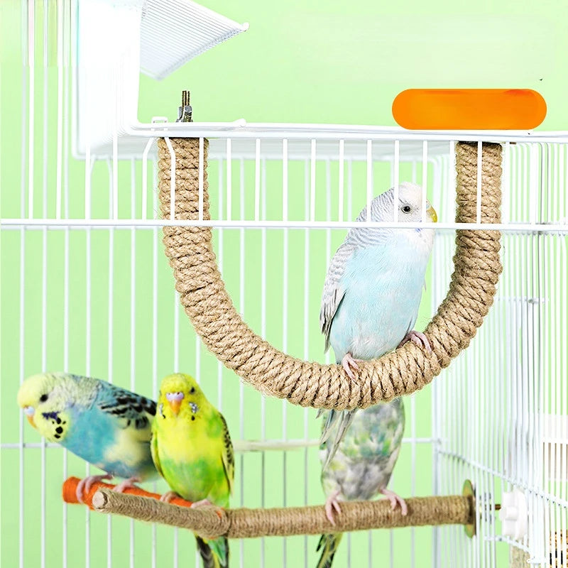 Bird Standing Rope