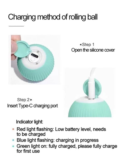 Automatic Indoor Cat Toy