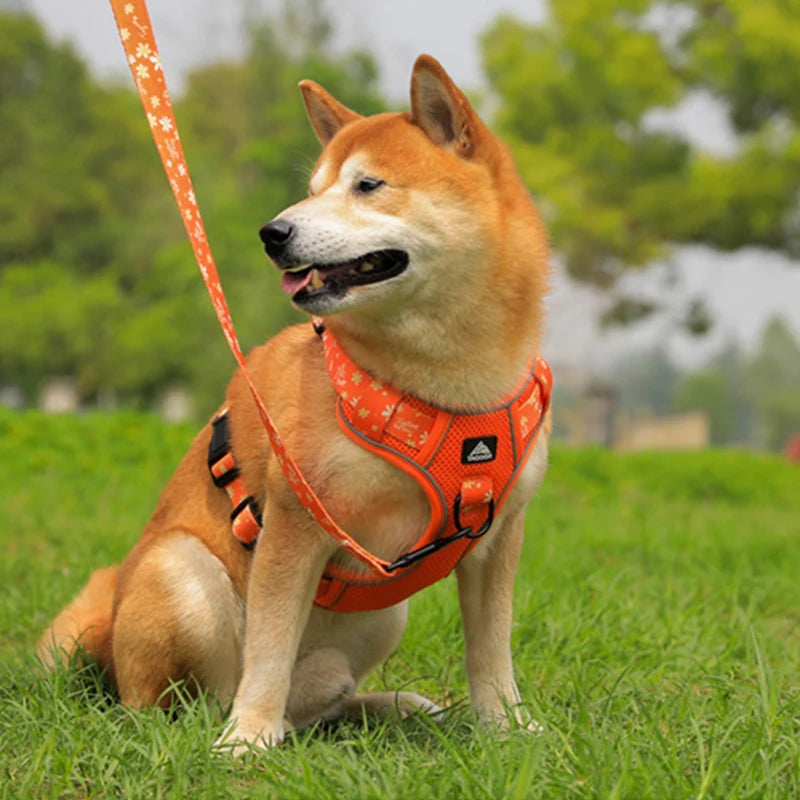 Big Dog Harness Reflective