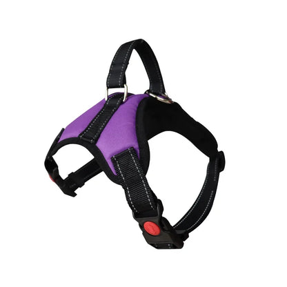 Large Dog Walk Out Harness