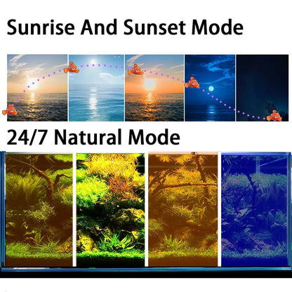 24/7 Full Spectrum Lighting