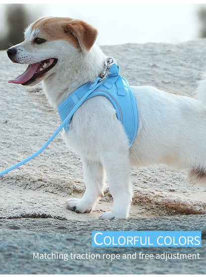 Dog Harness Leash Set