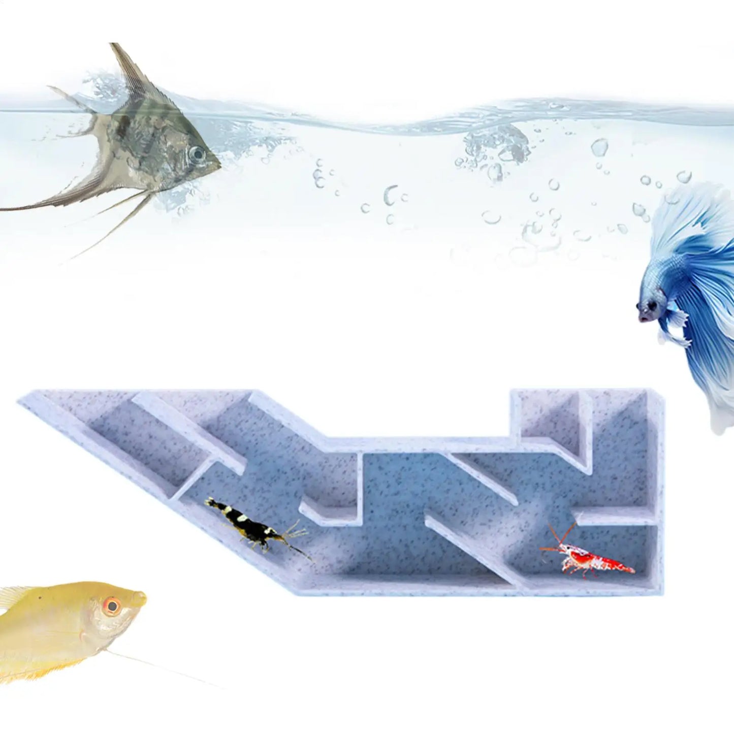 Aquarium Underground Tunnel with 2 Entrances