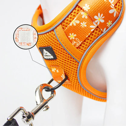 Big Dog Harness Reflective