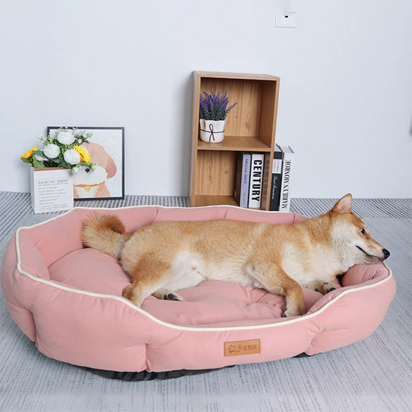 Sofa Sleeping Bed