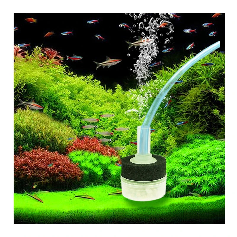 Small Aquarium Filter Fish Tank