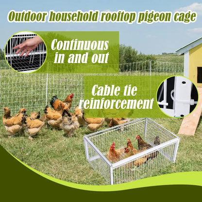 Auto Trap Bird Cage