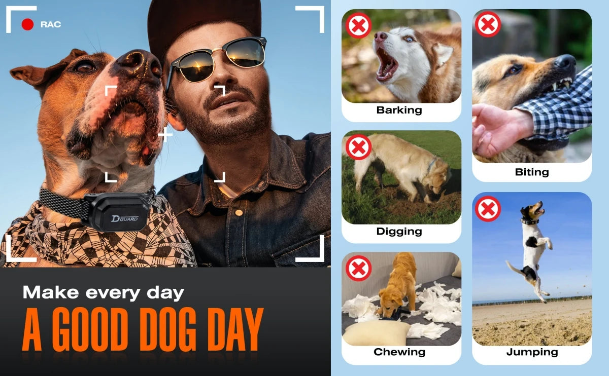 Digital Dog Training Collar