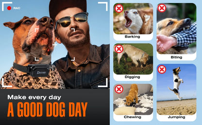 Digital Dog Training Collar