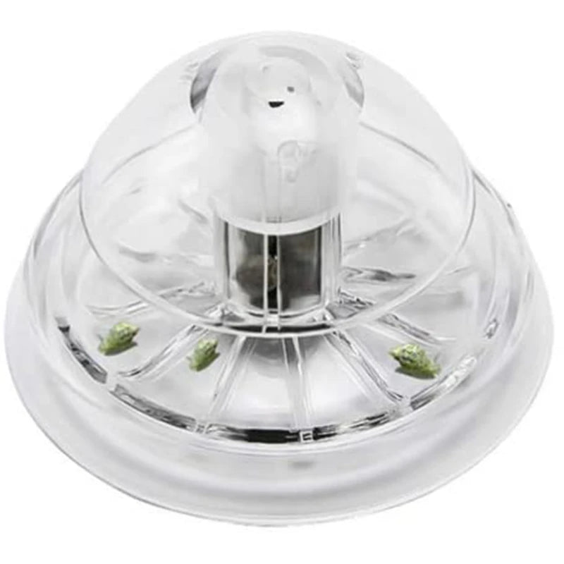 Plant Snail Trap Catcher