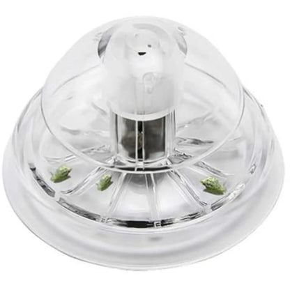 Plant Snail Trap Catcher