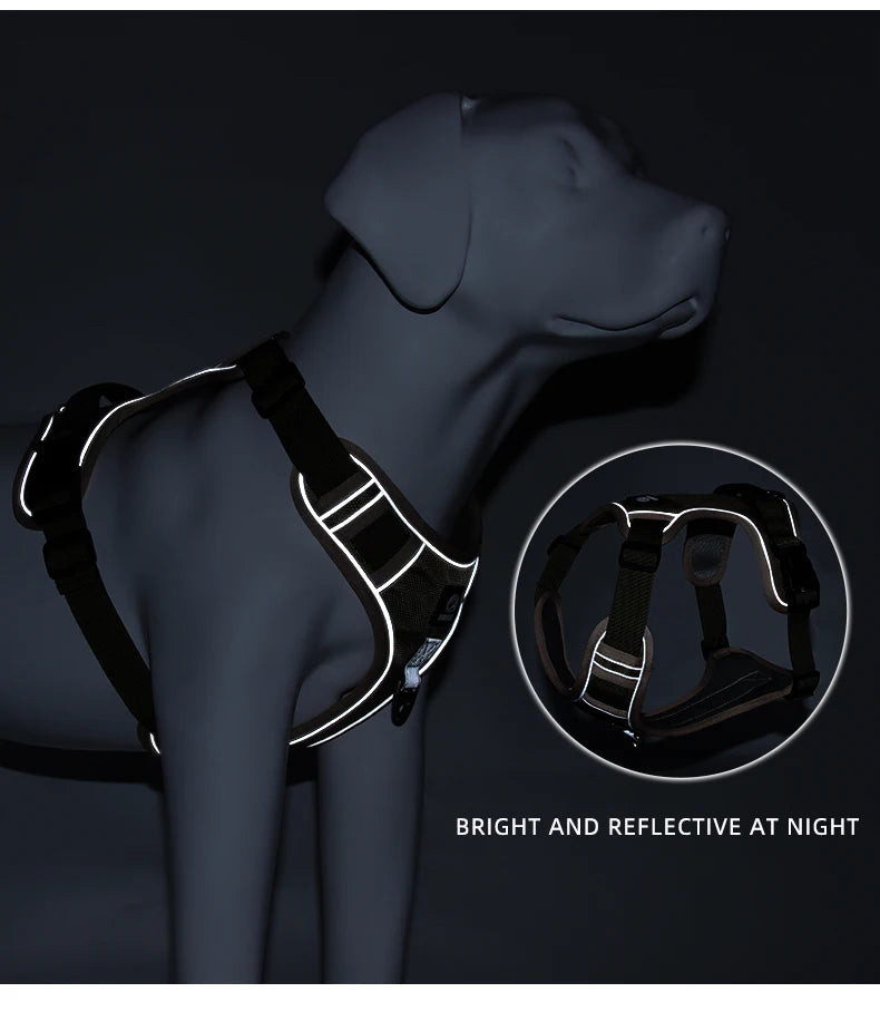 Medium Large Dog Harnesses Collar