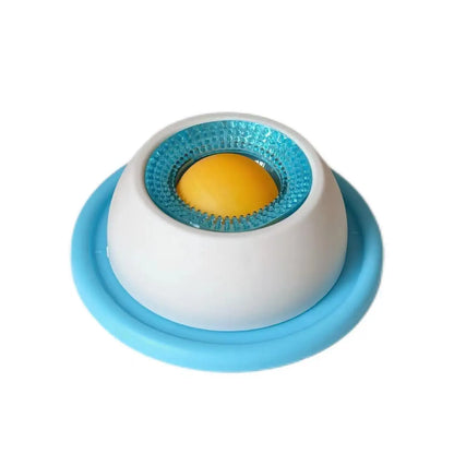 Cat Food Bowl