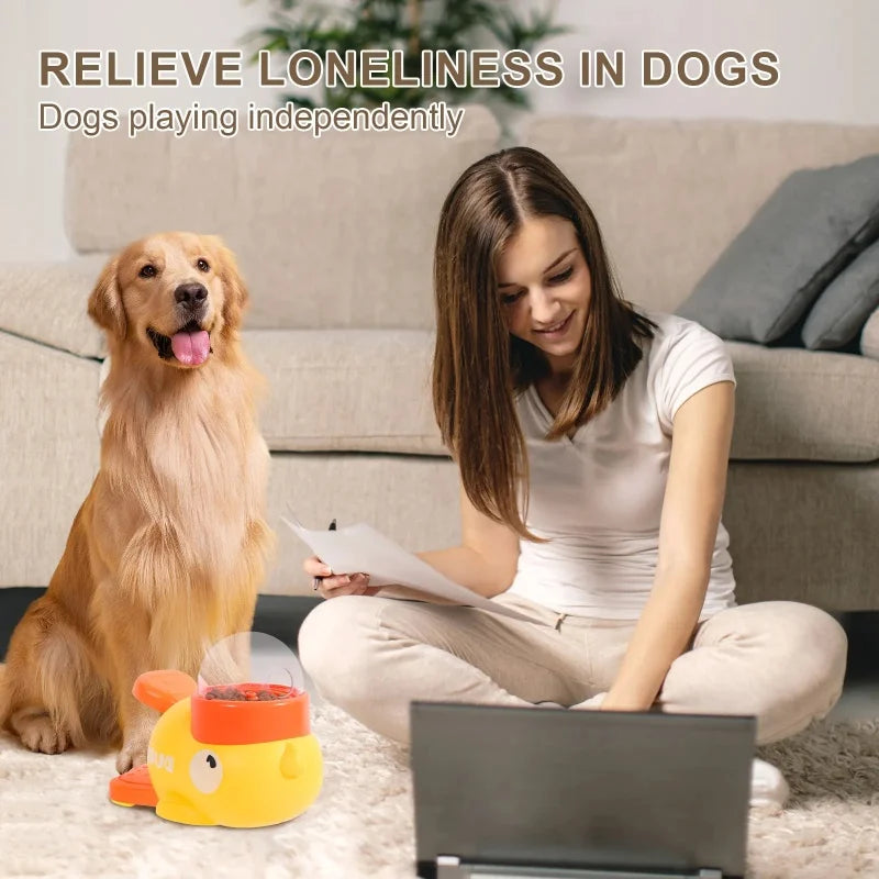 Dog Puzzle Feeder