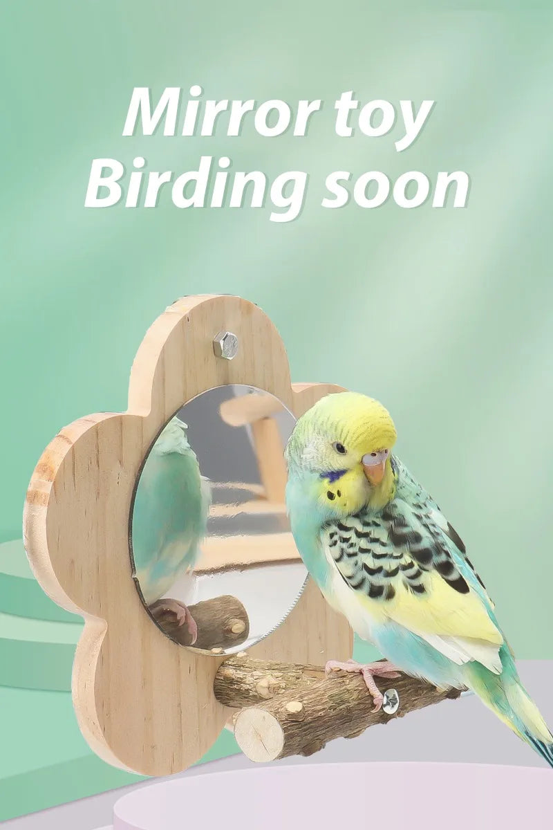 Wooden Bird Perch