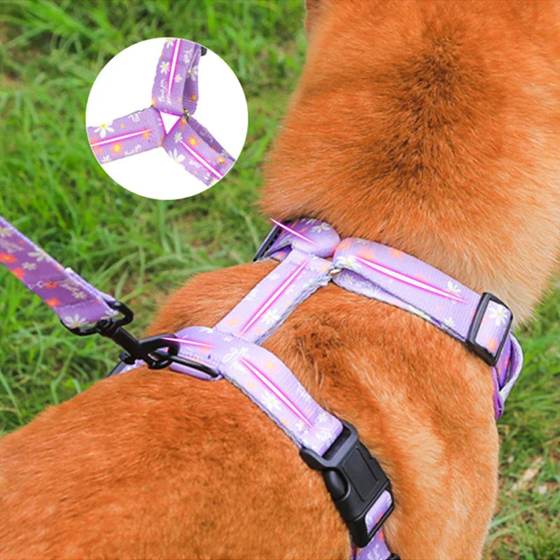 Big Dog Harness Reflective
