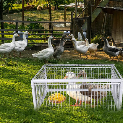 Auto Trap Bird Cage