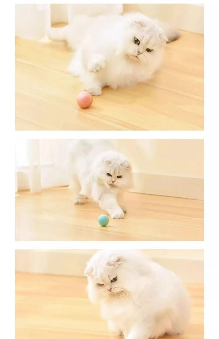 Automatic Indoor Cat Toy