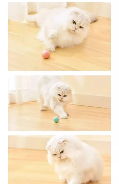 Automatic Indoor Cat Toy