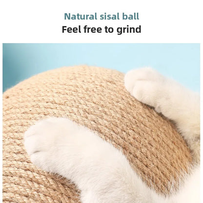 Cat scratching board