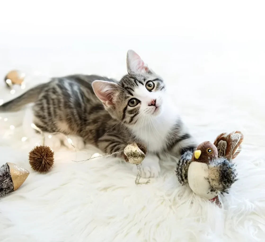 Washable Interactive Cat Toys