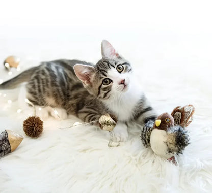 Washable Interactive Cat Toys
